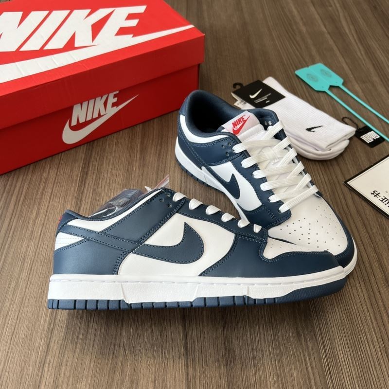 Nike Dunk Shoes